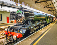 Steam Trains